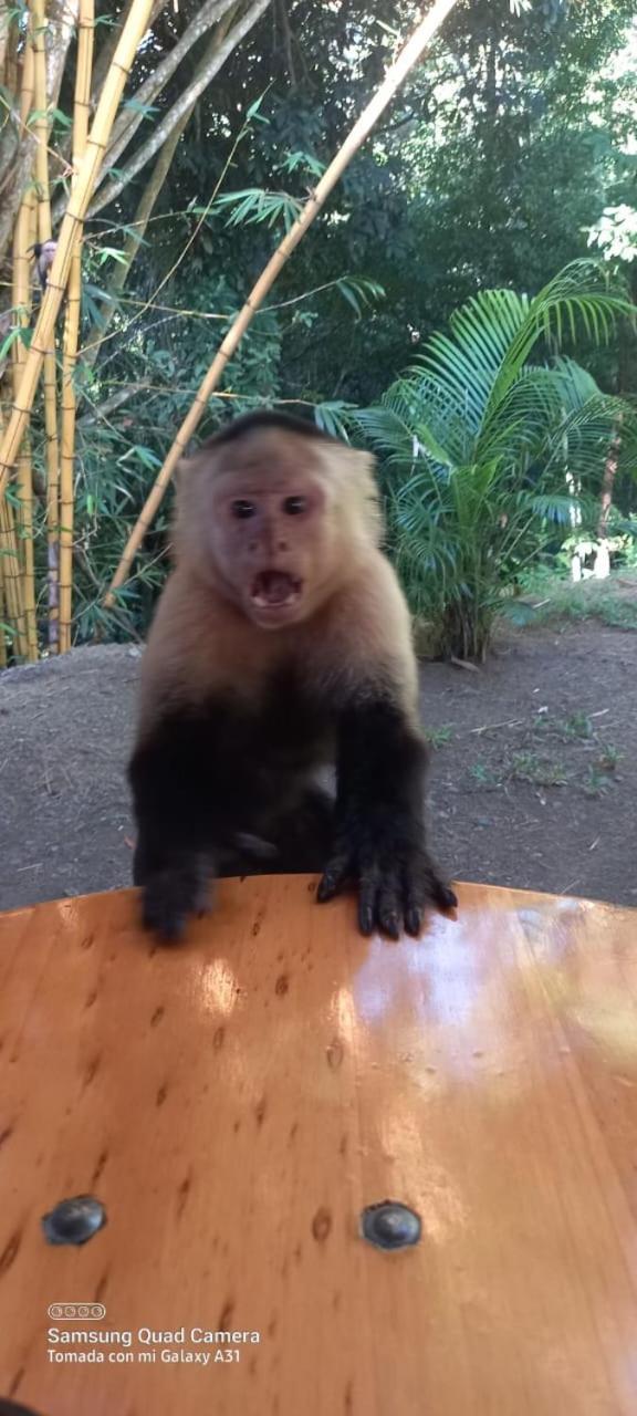 Grand Park Manuel Antonio - Adults Only 호텔 외부 사진