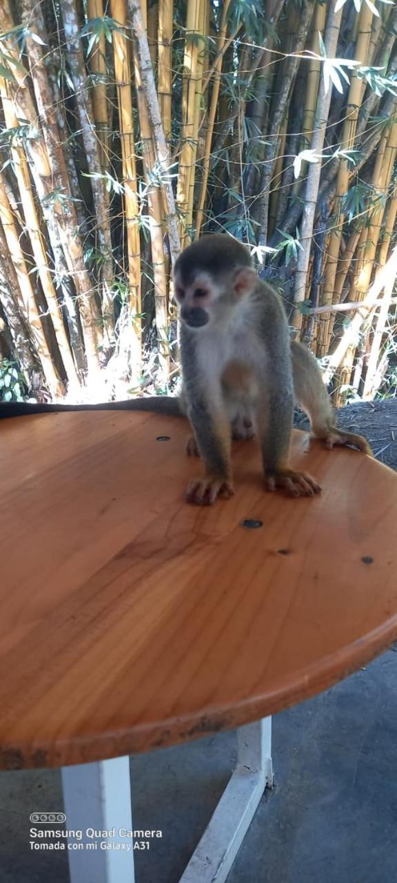 Grand Park Manuel Antonio - Adults Only 호텔 외부 사진